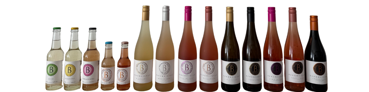 12 Flaschen Bergmeister Weine